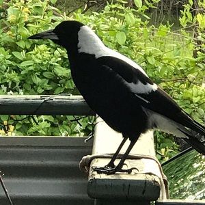 Meet your Posher, Margaret